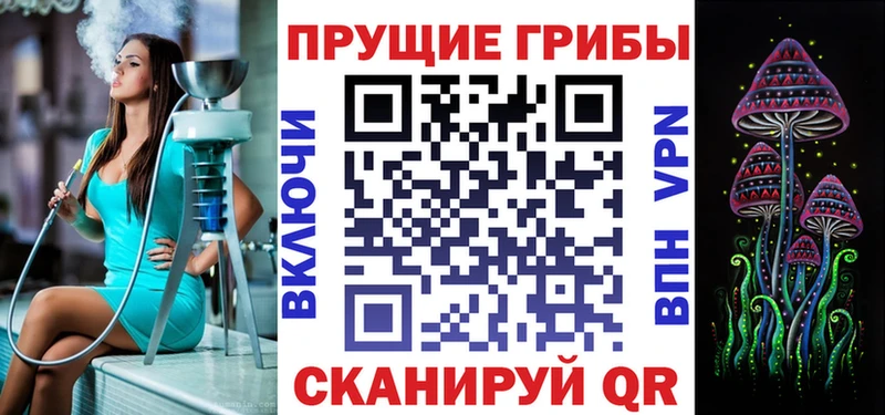 Псилоцибиновые грибы мицелий  Купить  Ставрополь 